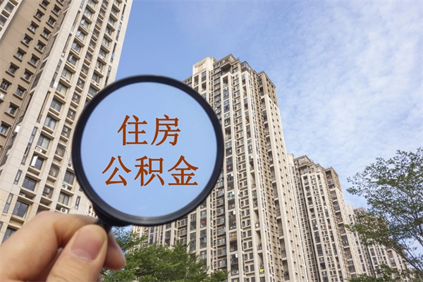 池州公积金的提（&quot;公积金提取&quot;）
